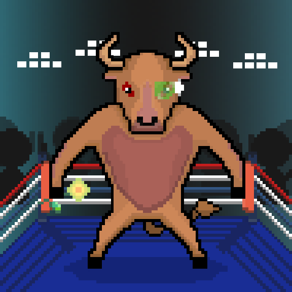 SolBulls #10