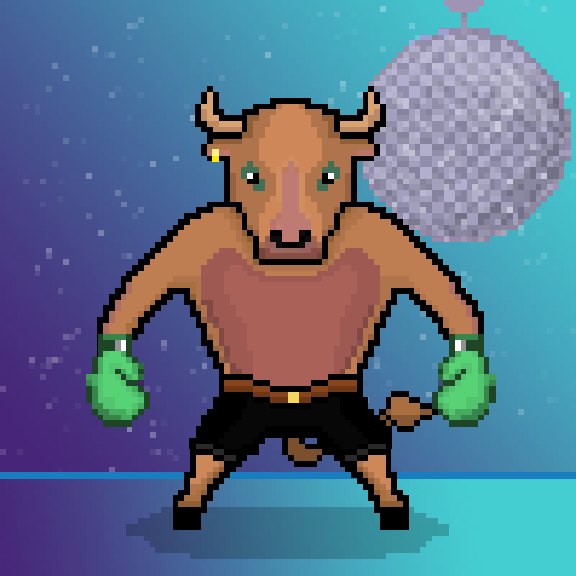 SolBulls #13