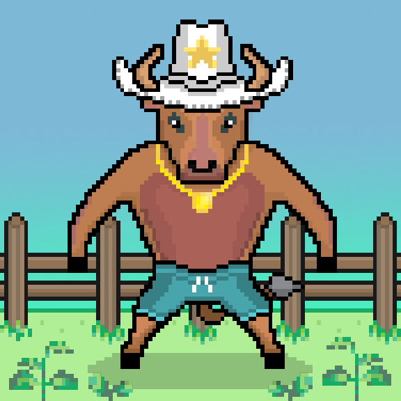 SolBulls #19