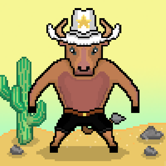 SolBulls #2