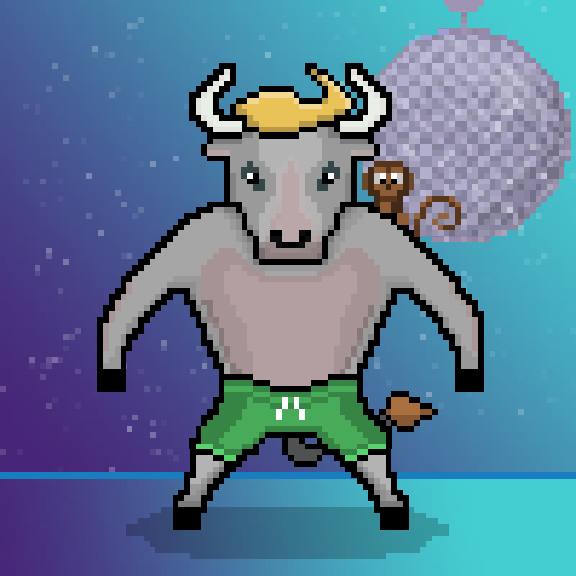 SolBulls #27