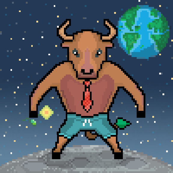 SolBulls #29