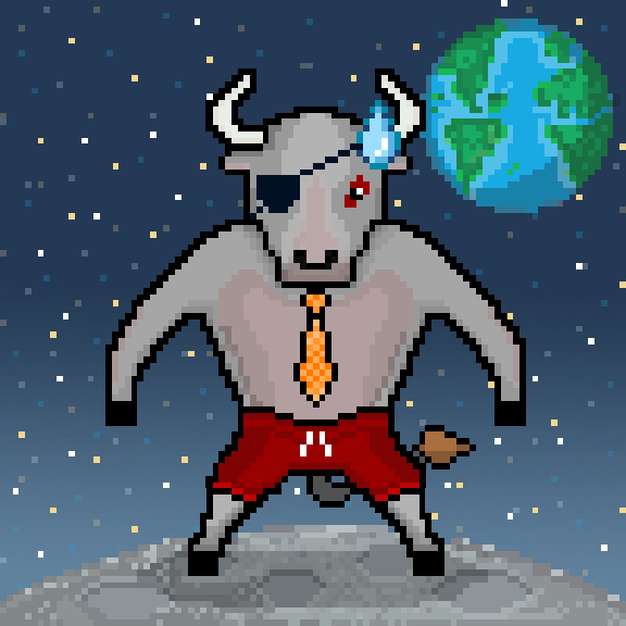 SolBulls #49