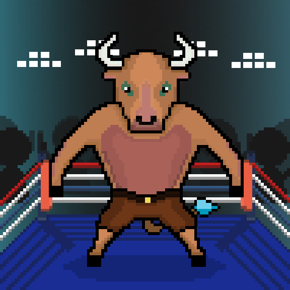 SolBulls #52