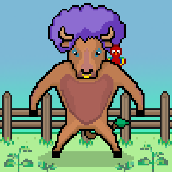 SolBulls #54