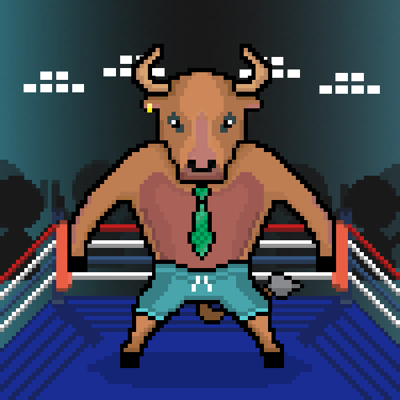 SolBulls #55