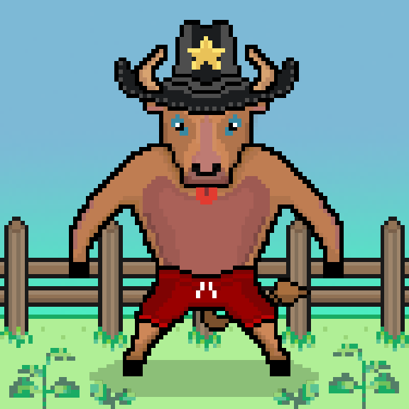 SolBulls #80