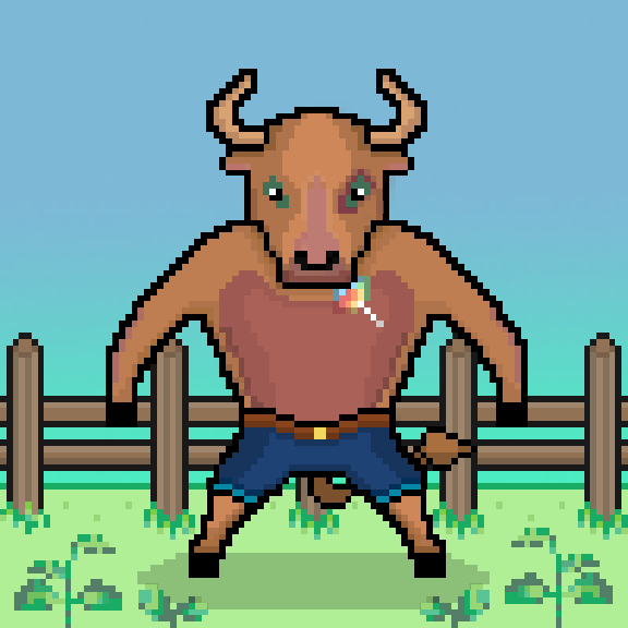 SolBulls #81